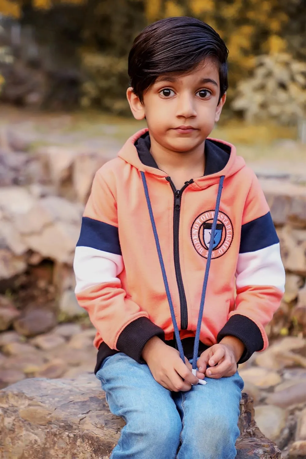 Applique Panelled Hoodie