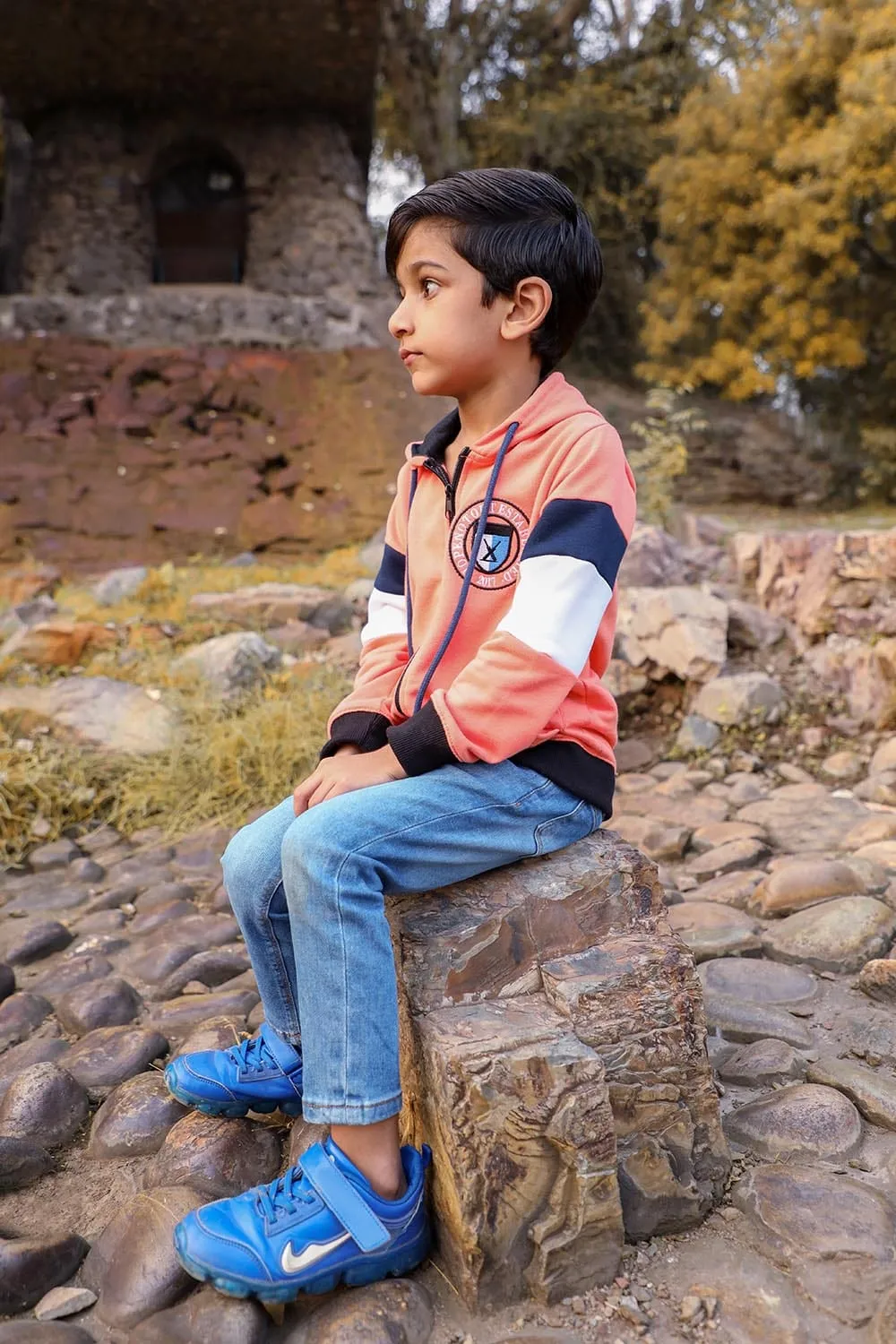 Applique Panelled Hoodie