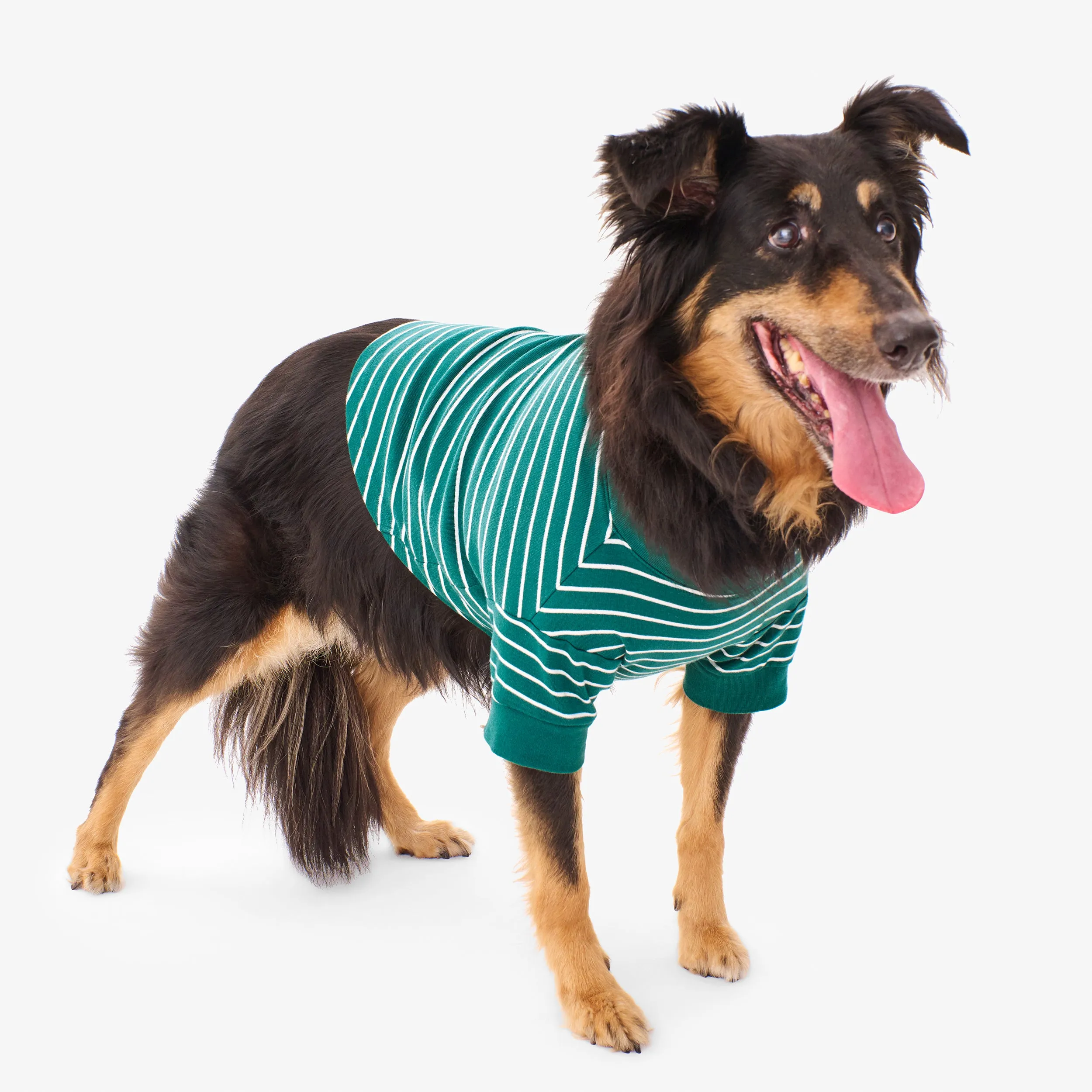 Clearance pet organic pj top in stripe